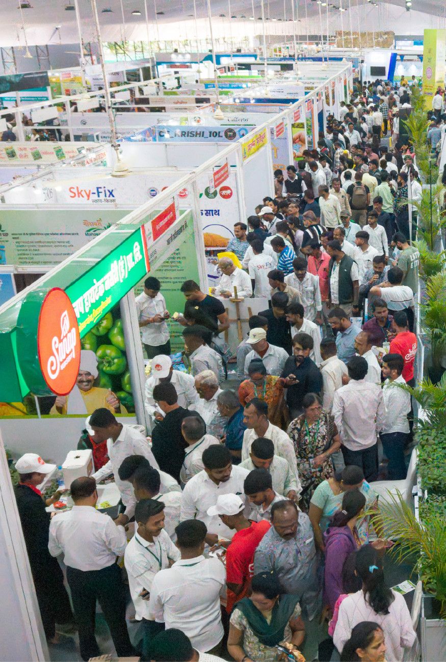 Expo Image 1